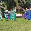 tree pplanting9